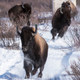 Image: Parks Canada
